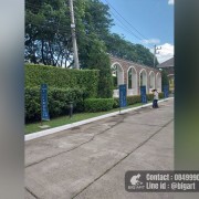 50